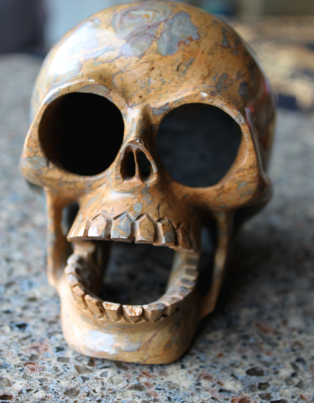 Canon EOS 500D (EOS Rebel T1i / EOS Kiss X3) sample photo. Jasper skull photography