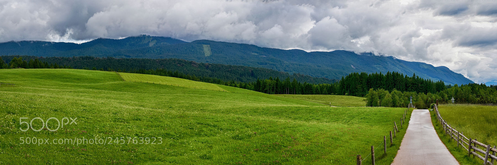 Nikon D7200 sample photo. Meadow, austria photography