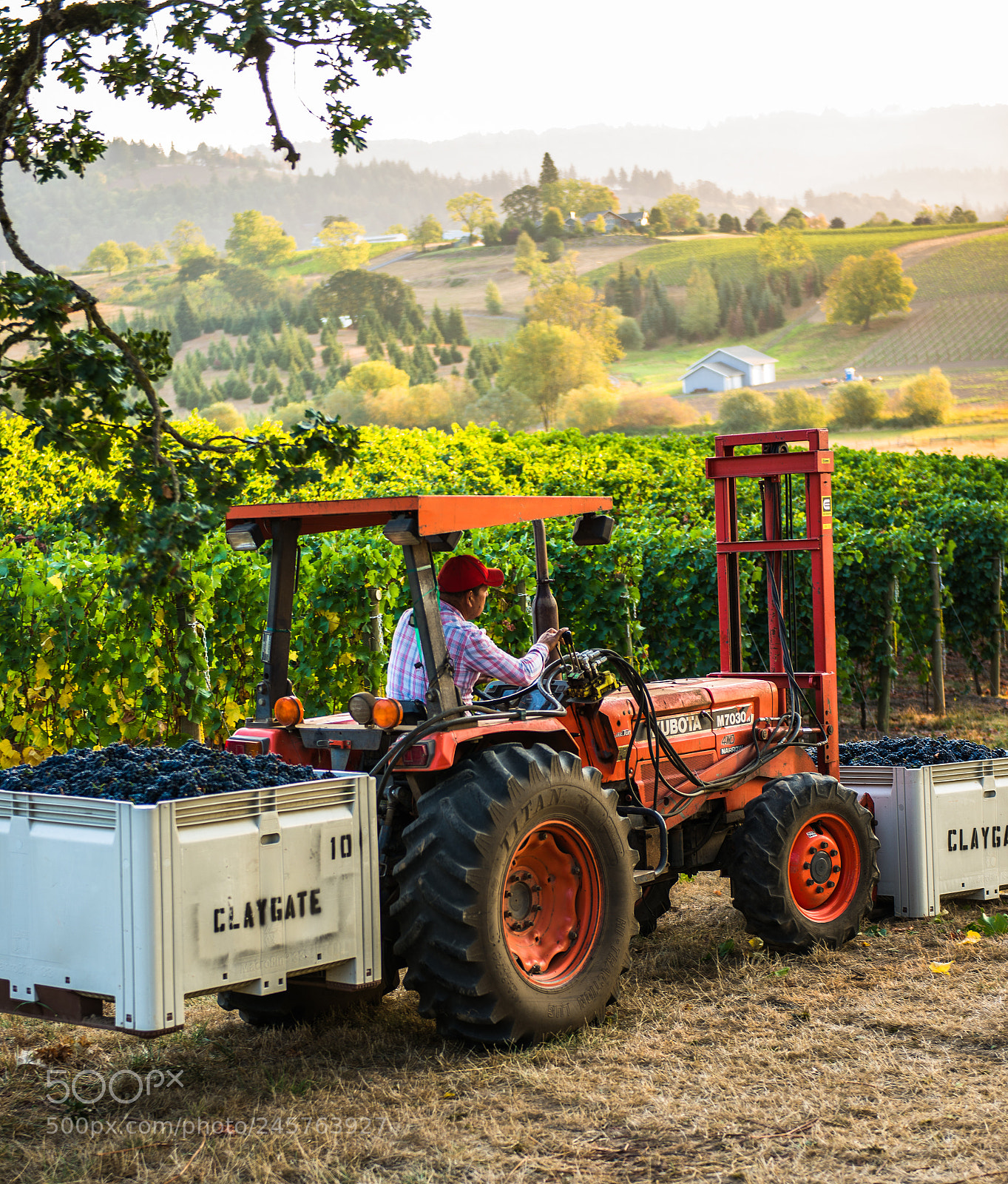 Nikon D600 sample photo. It's time for wine photography