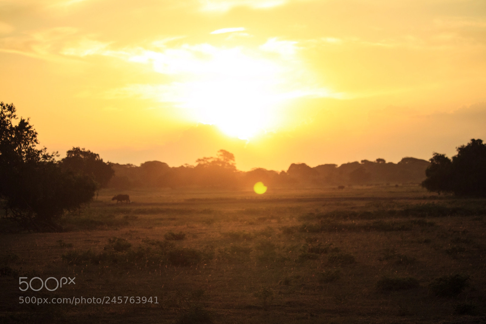 Canon EOS M5 sample photo. Safari sunrise photography