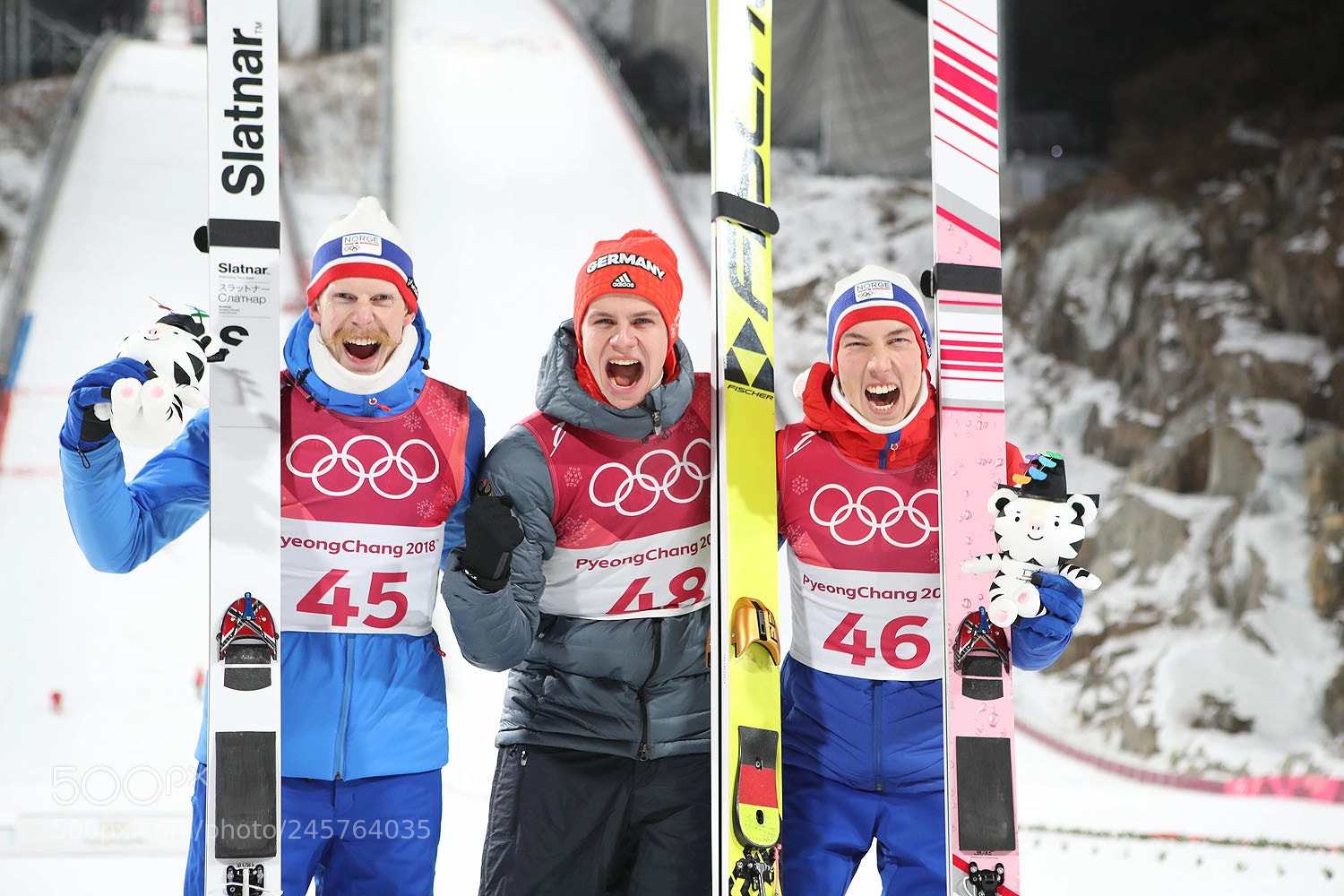 Canon EOS-1D X Mark II sample photo. Andreas wellinger - olympic photography