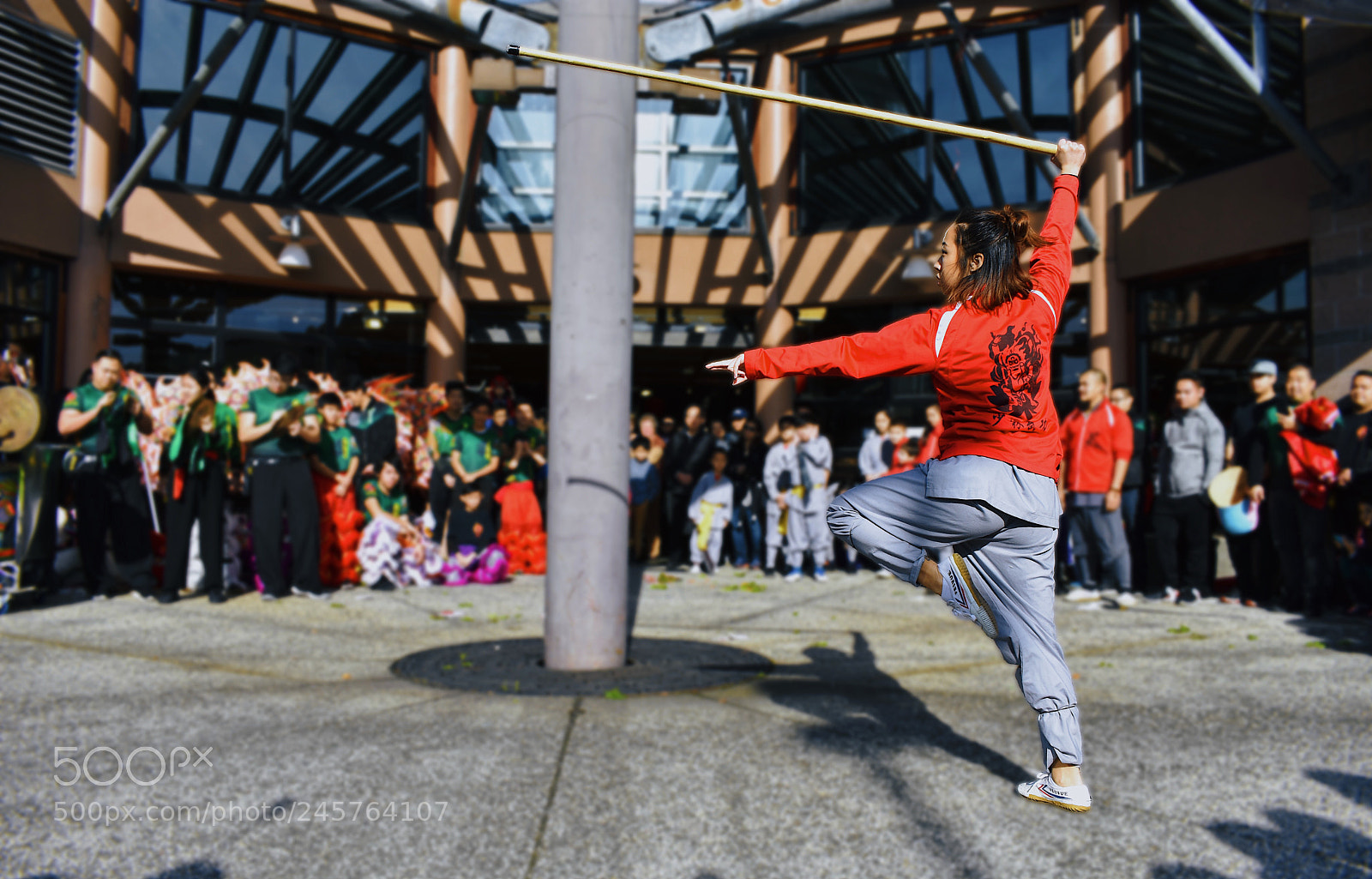 Nikon D7200 sample photo. Lunar new year lion photography