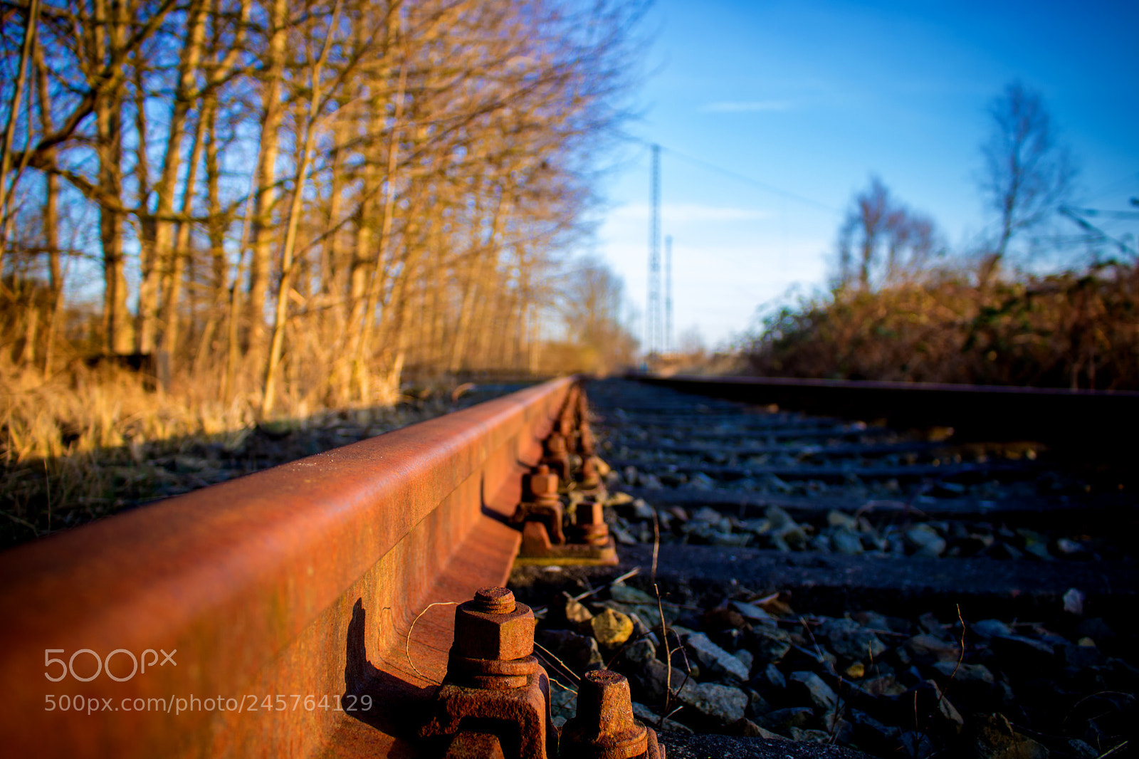 Canon EOS 750D (EOS Rebel T6i / EOS Kiss X8i) sample photo. Rusty track photography