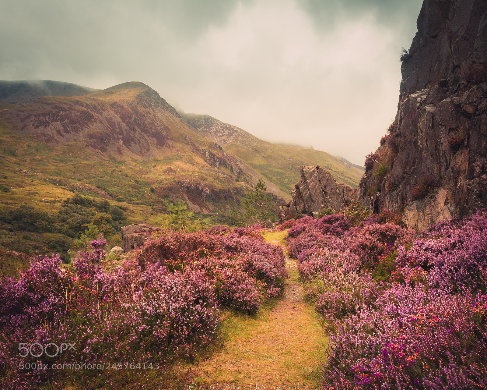 Nikon D7100 sample photo. Carneddau and glyderau photography