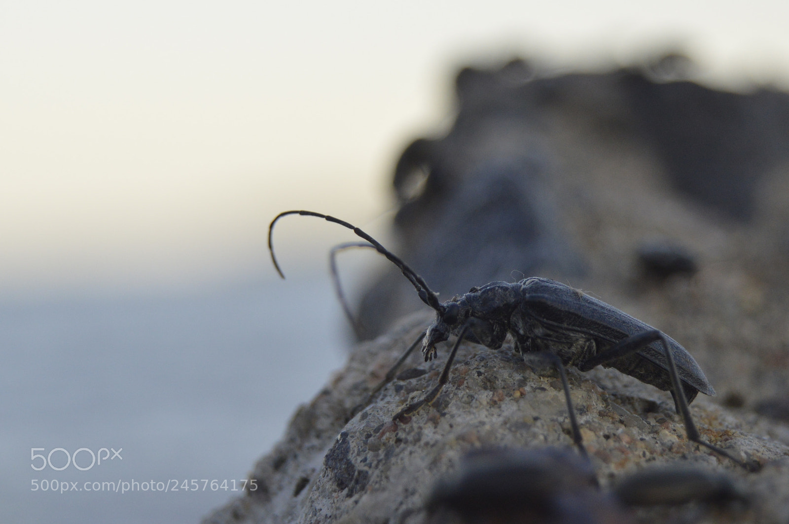 Nikon D3200 sample photo. Untitled photography