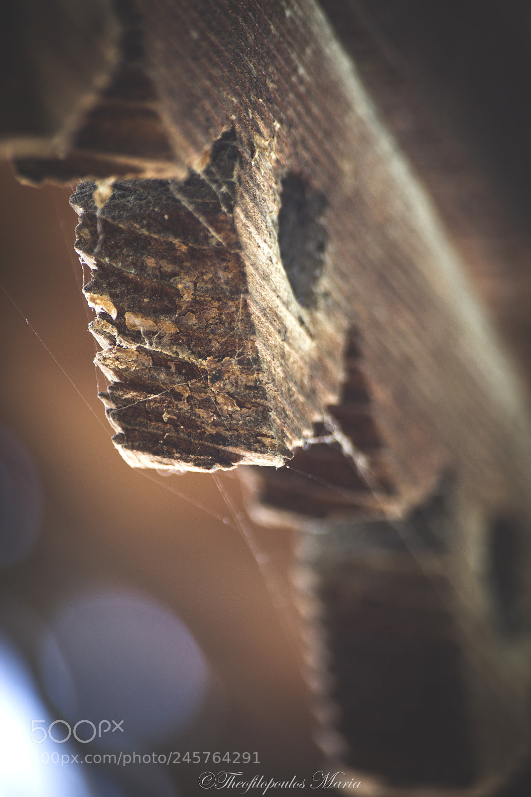 Canon EOS 600D (Rebel EOS T3i / EOS Kiss X5) sample photo. () photography