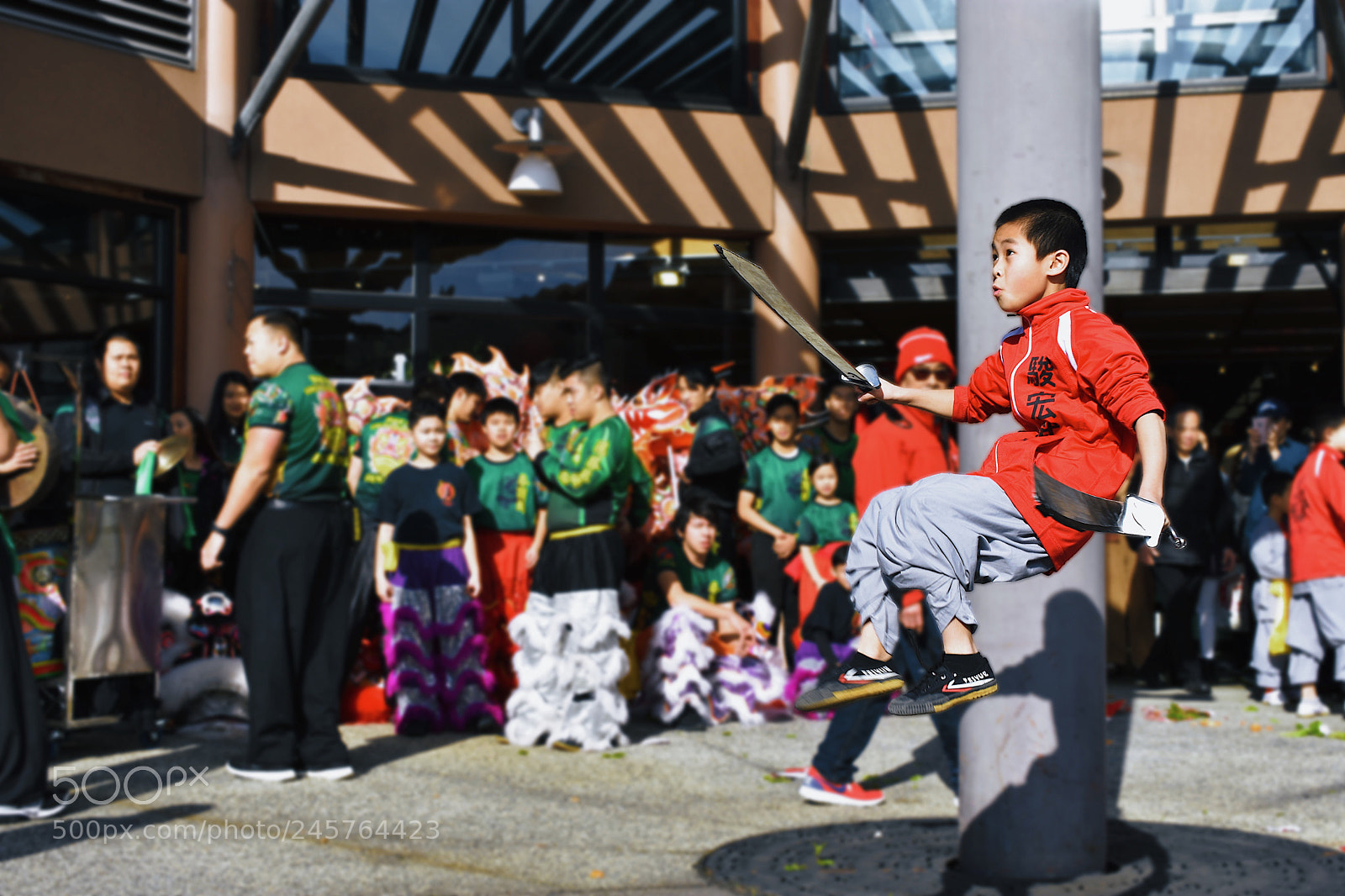 Nikon D7200 sample photo. Lunar new year lion photography
