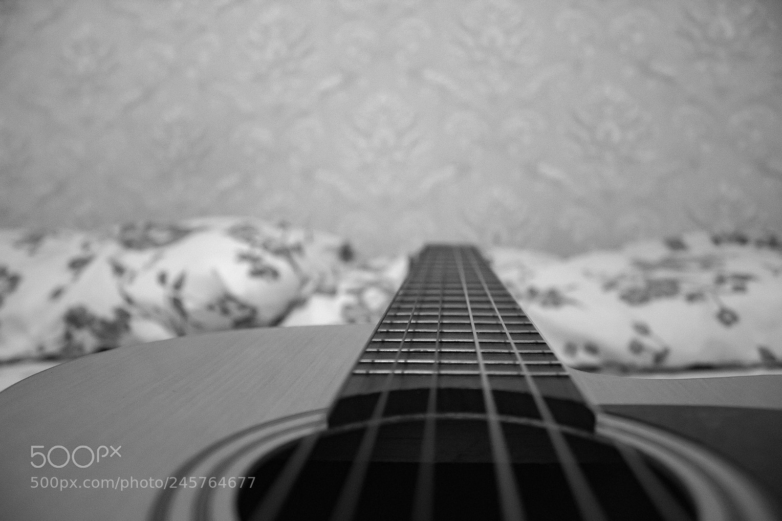 Canon EOS 1300D (EOS Rebel T6 / EOS Kiss X80) sample photo. Resounding strings photography