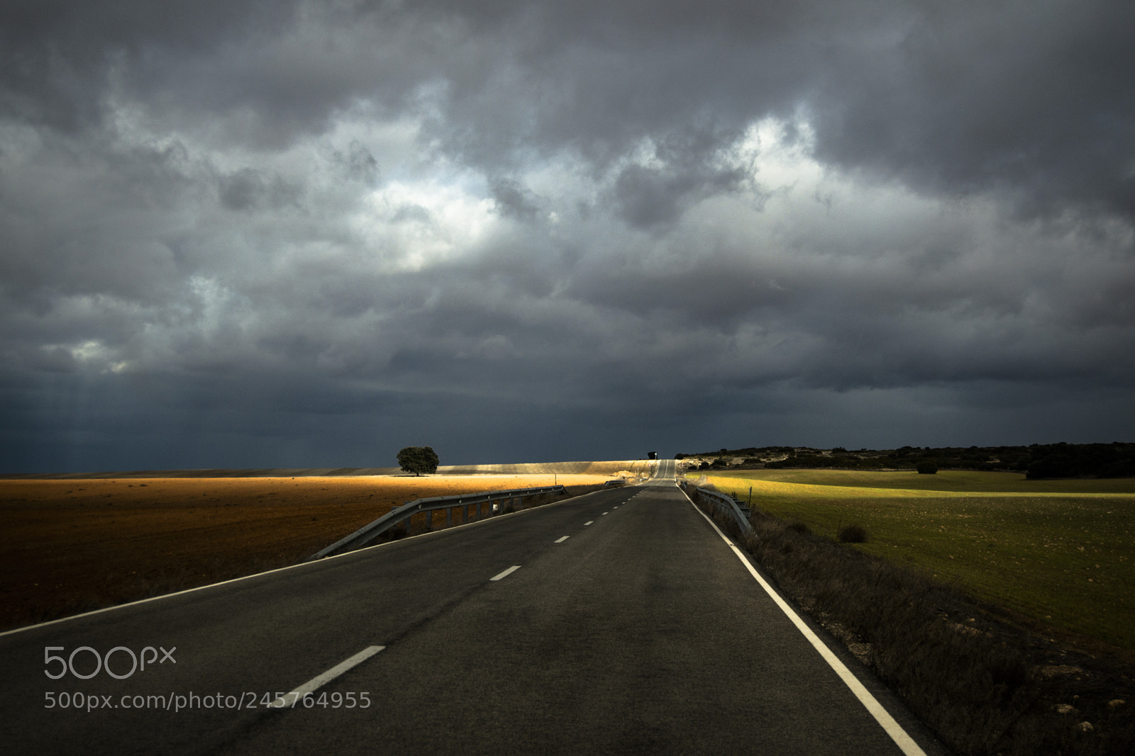 Nikon D800 sample photo. Untitled photography