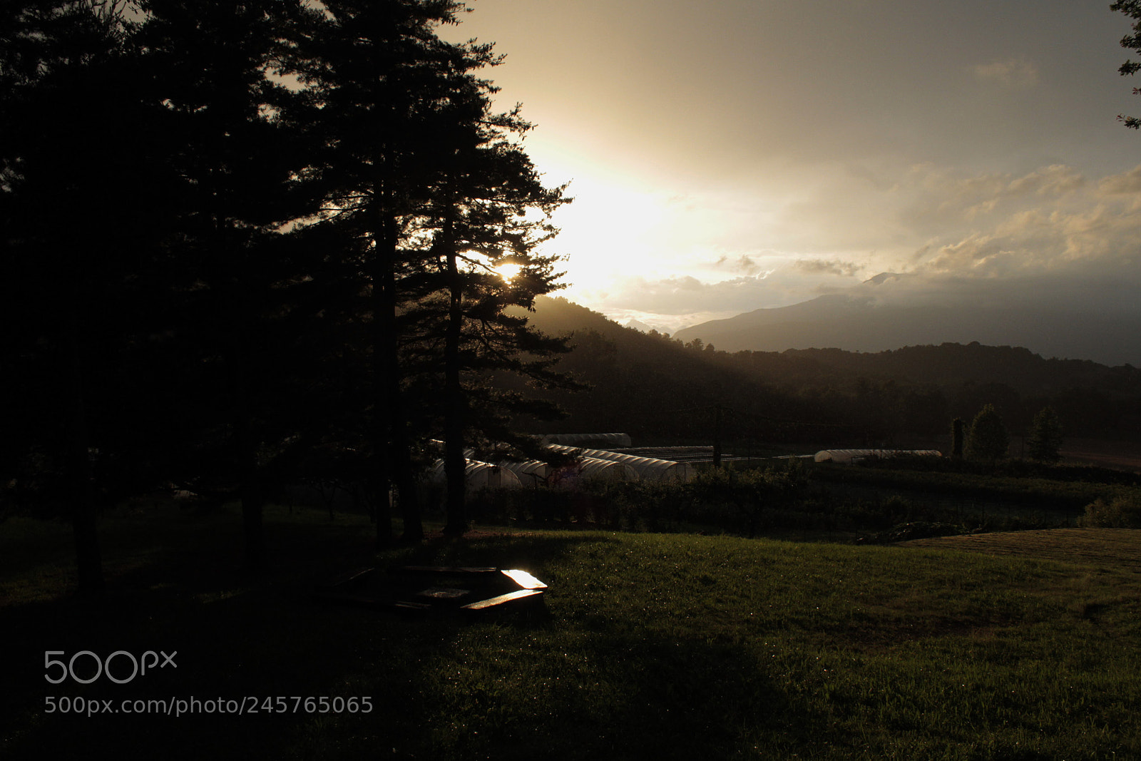 Canon EOS 60D sample photo. Sunset on the forest photography
