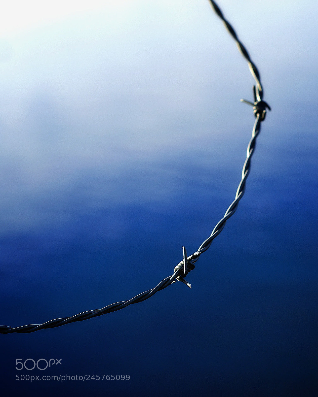 Sony ILCA-77M2 sample photo. Barbwire on blue photography