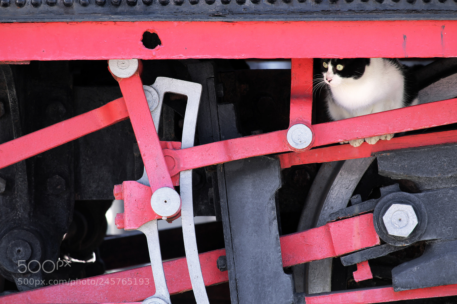 Fujifilm X-M1 sample photo. The stowaway photography