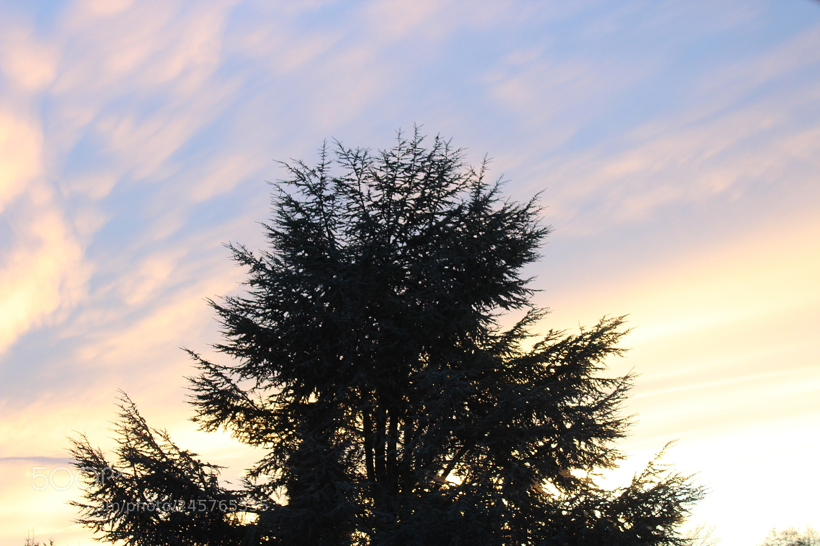 Canon EF-S 18-55mm F3.5-5.6 III sample photo. Golden hour is.... photography