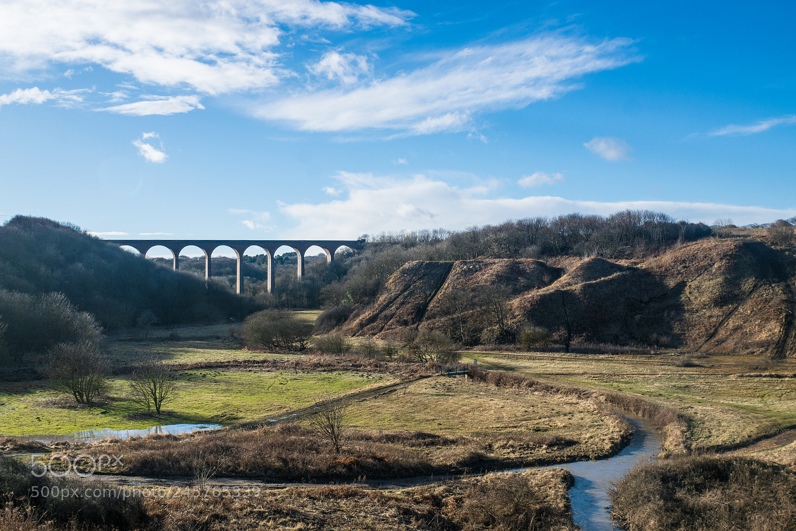 Sony ILCA-77M2 sample photo. Denemouth viaduct photography