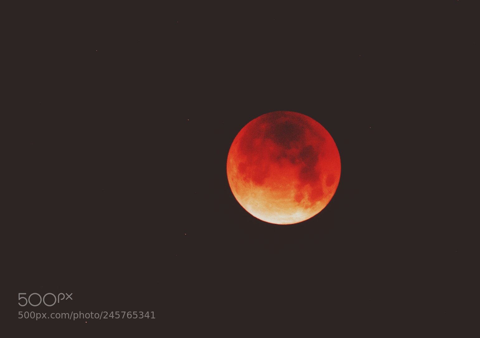 Canon EOS 5DS R sample photo. Super blue blood moon photography