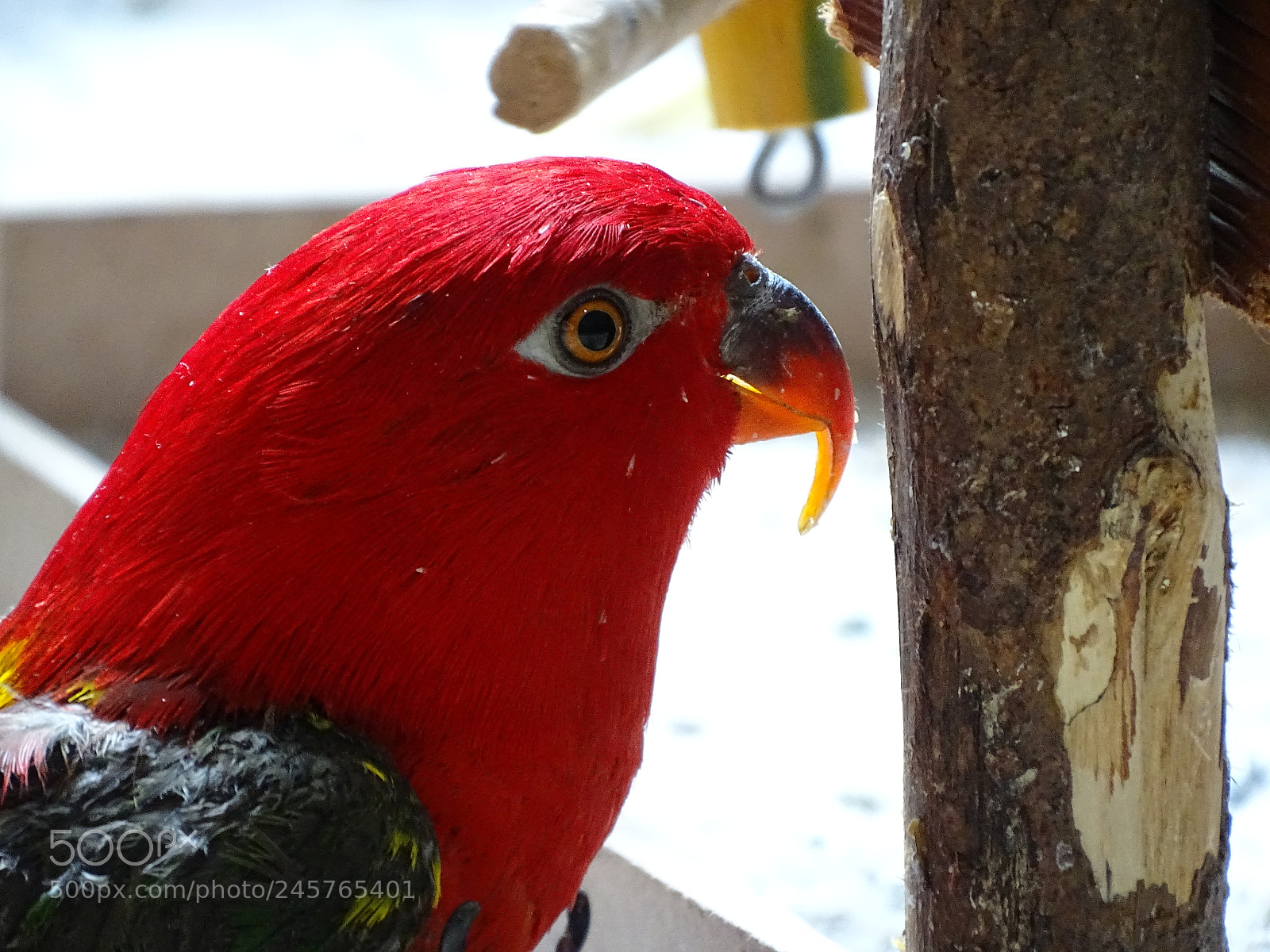 Sony Cyber-shot DSC-HX400V sample photo. Dsc photography