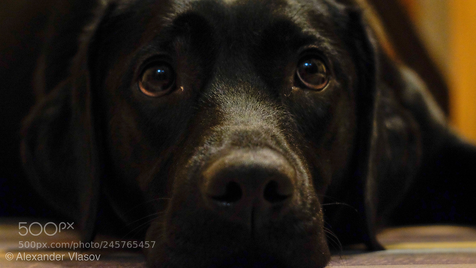 Fujifilm X-T10 sample photo. Glance photography