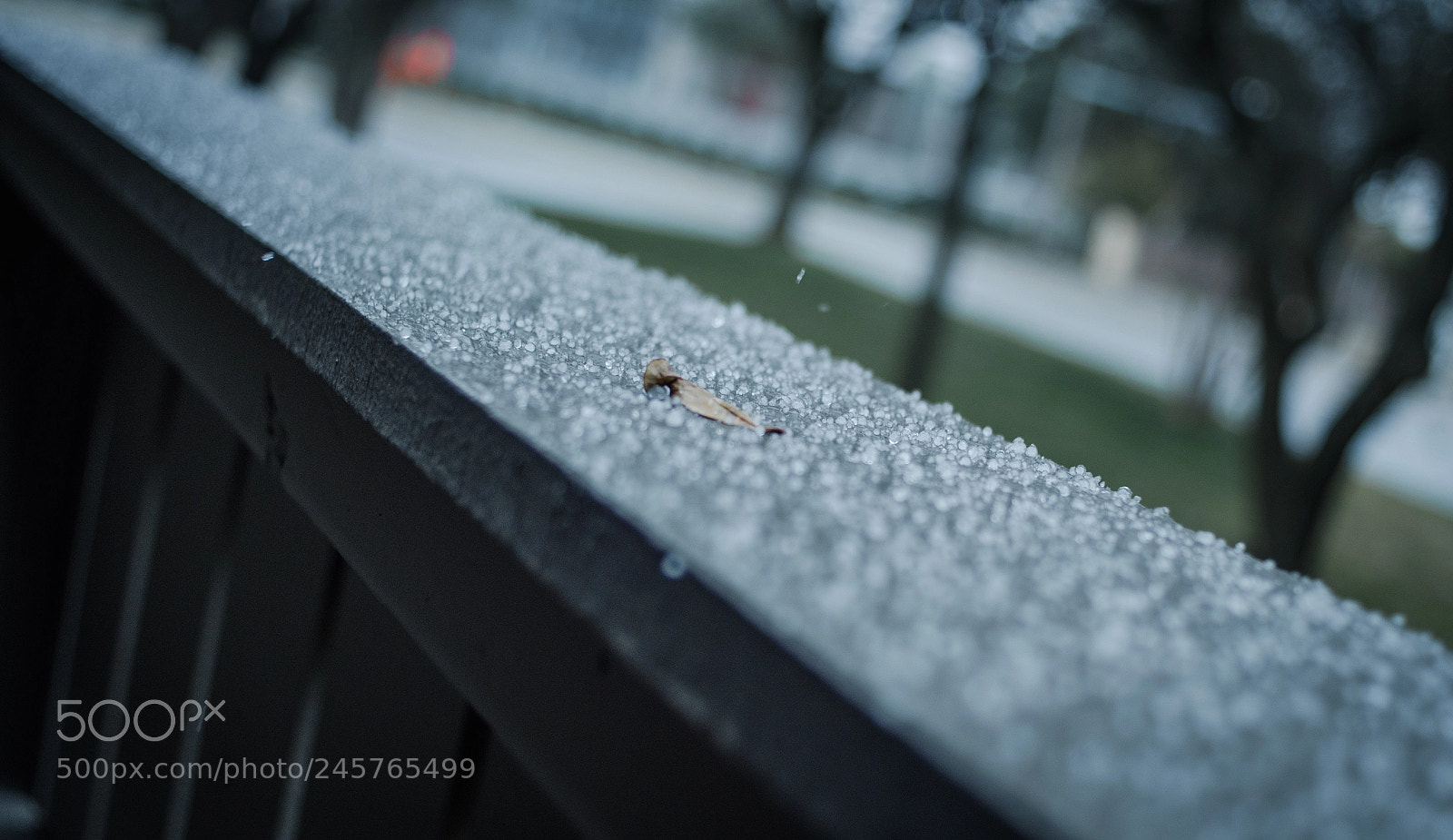 Nikon D5100 sample photo. Dallas sleet photography