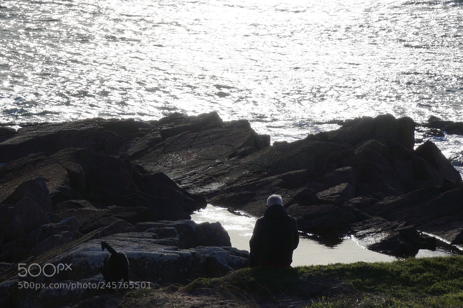 Sony Alpha NEX-3N sample photo. L'homme seul face l'immensit photography