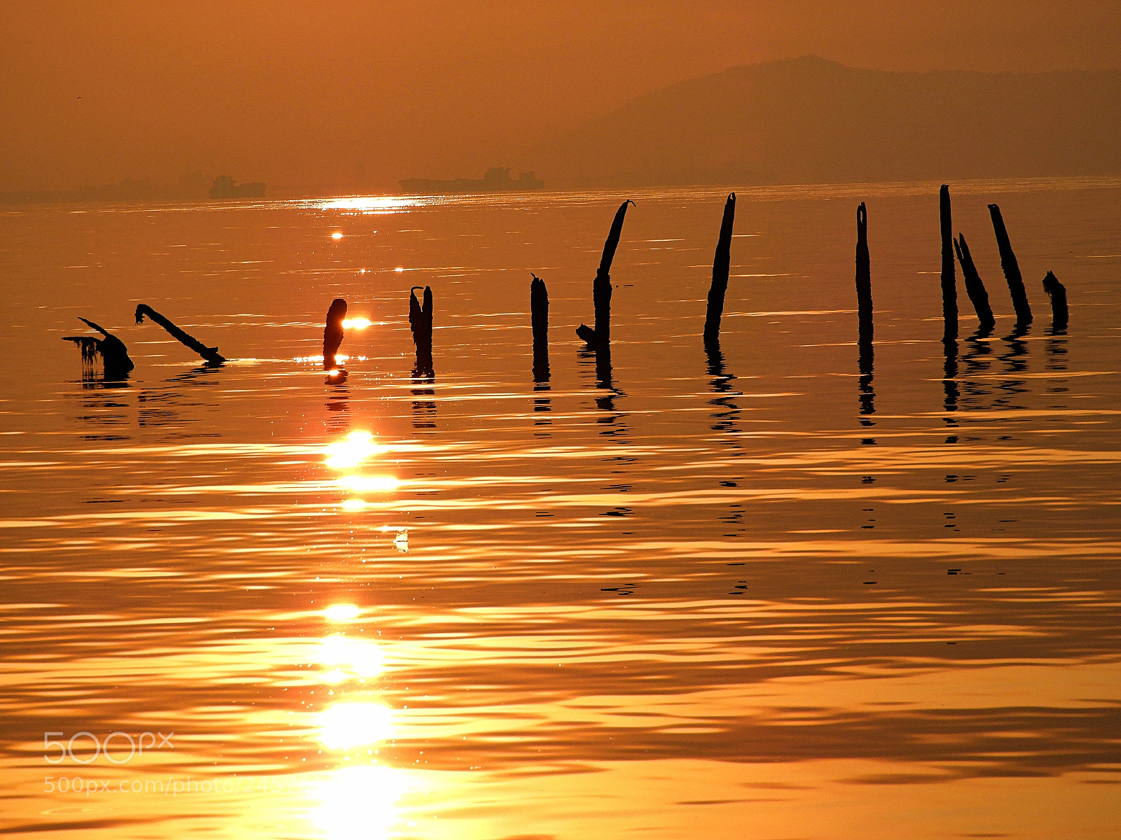 Nikon Coolpix B700 sample photo. Golden reflections... photography