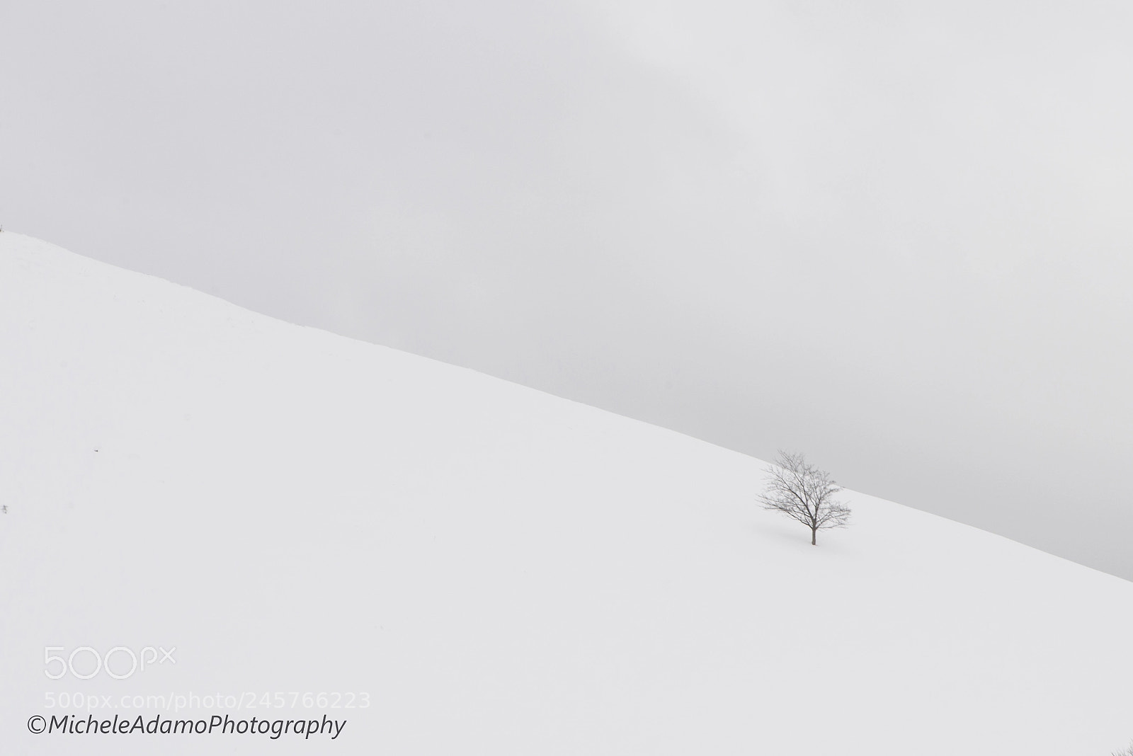 Nikon D610 sample photo. Dopo una nevicata, appennino photography