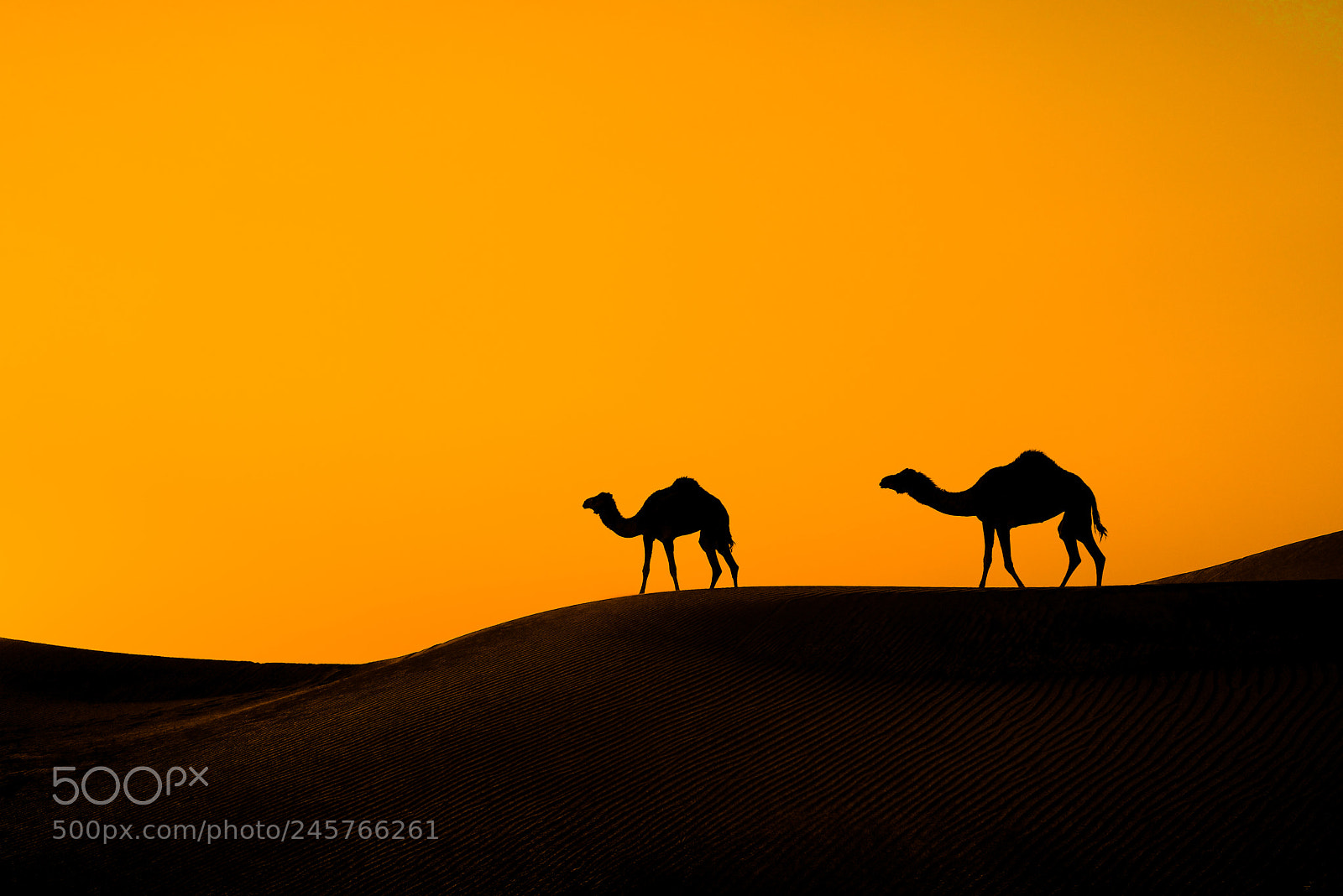 Sony a7R sample photo. Desert sunset photography