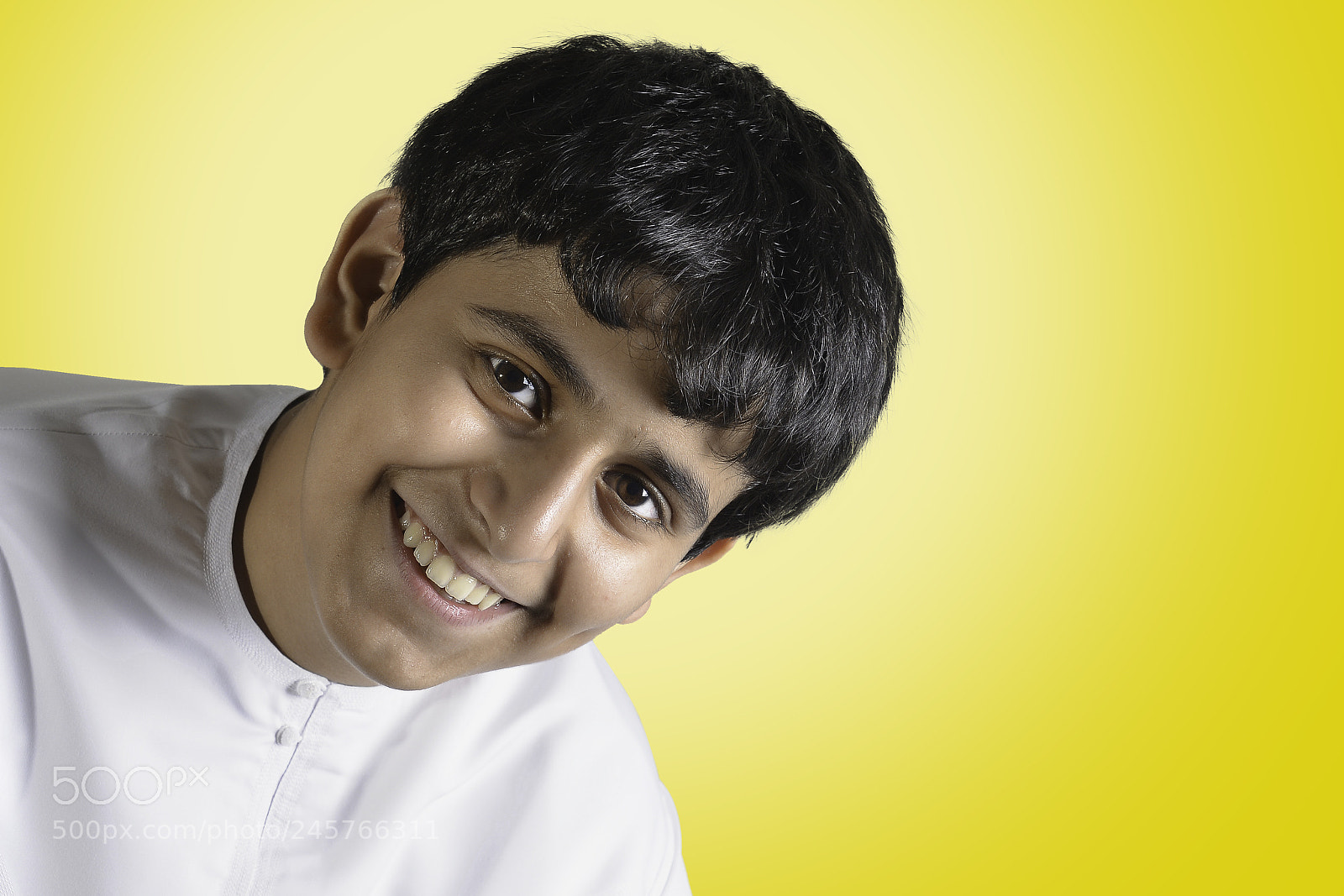 Nikon D800 sample photo. Brother photography