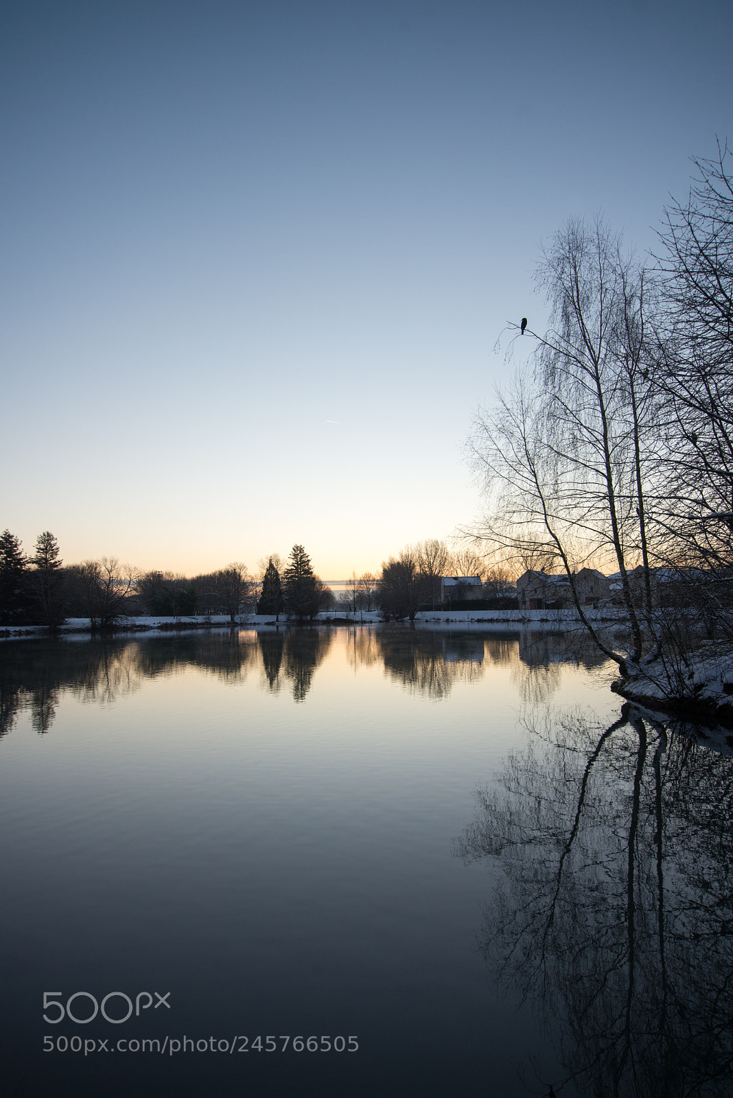 Nikon D600 sample photo. Eveil photography