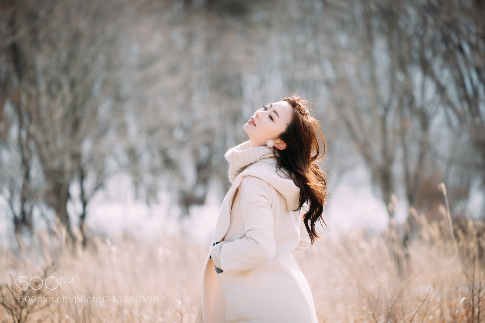Fujifilm X-T2 sample photo. Untitled photography