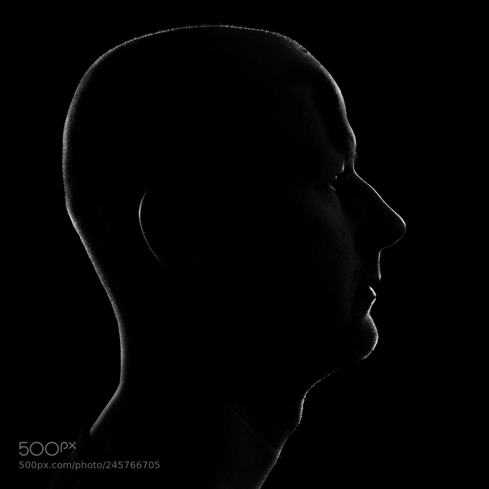 Sony a7 II sample photo. 037/365: profile photography