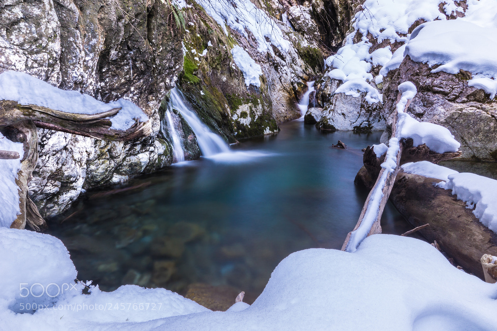 Sony ILCA-77M2 sample photo. Kalter tumpf photography