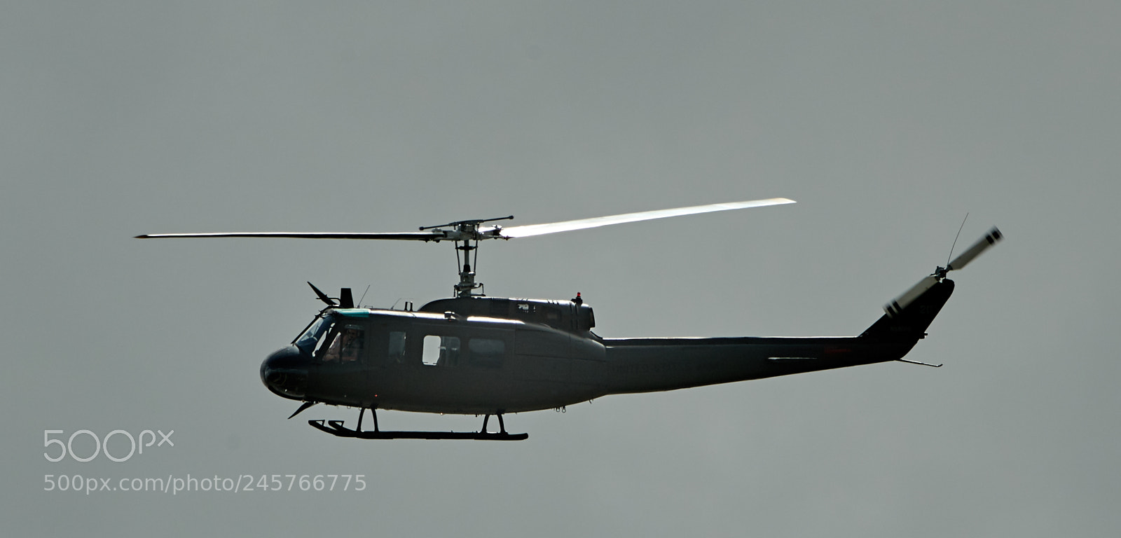 Canon EOS-1D X Mark II sample photo. 02-11-18-0003268.jpg photography