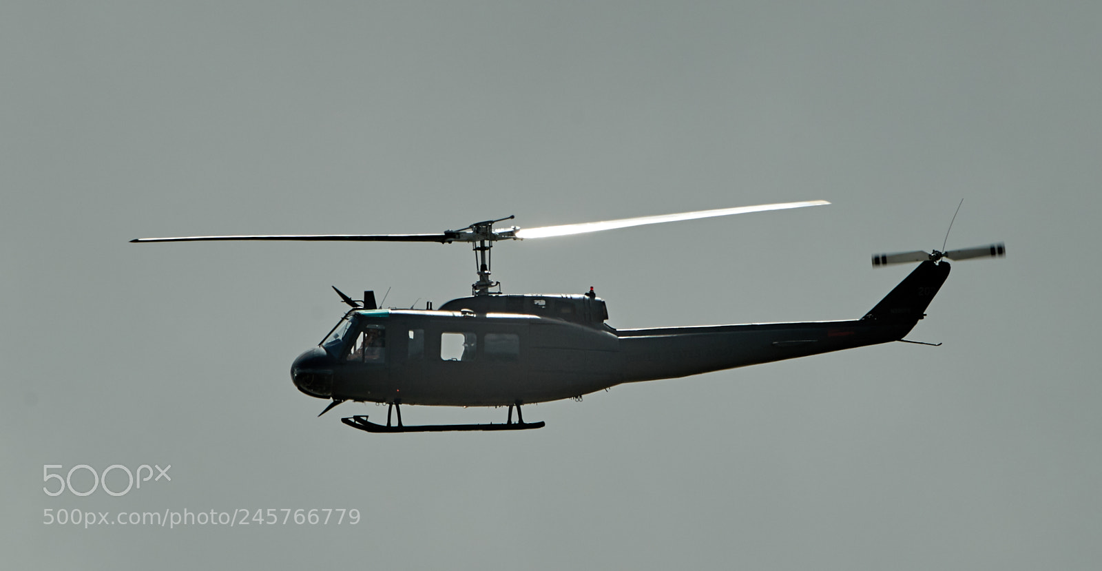 Canon EOS-1D X Mark II sample photo. 02-11-18-0003269.jpg photography