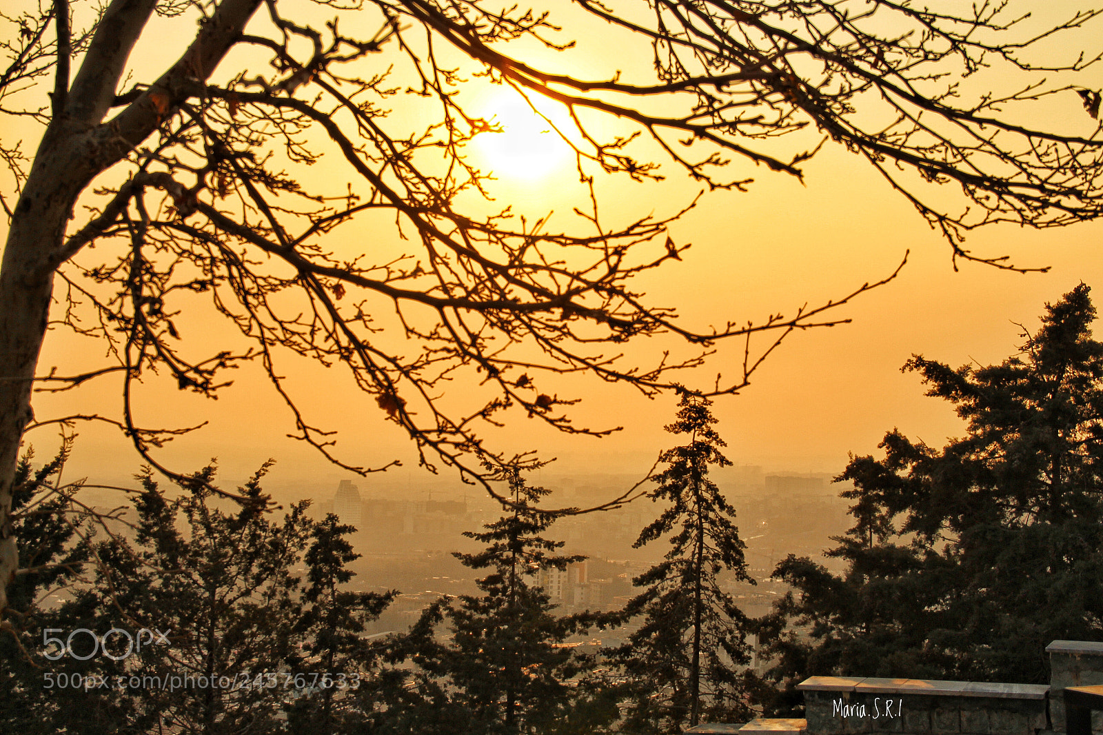 Canon EOS 700D (EOS Rebel T5i / EOS Kiss X7i) sample photo. Untitled photography
