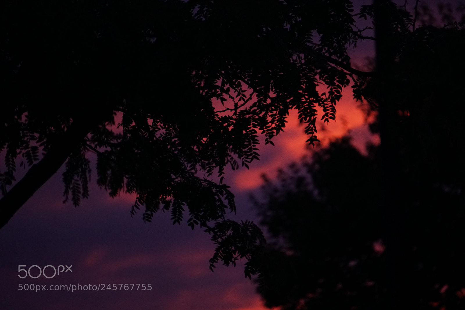 Sony a6300 sample photo. Dark sky vibes photography