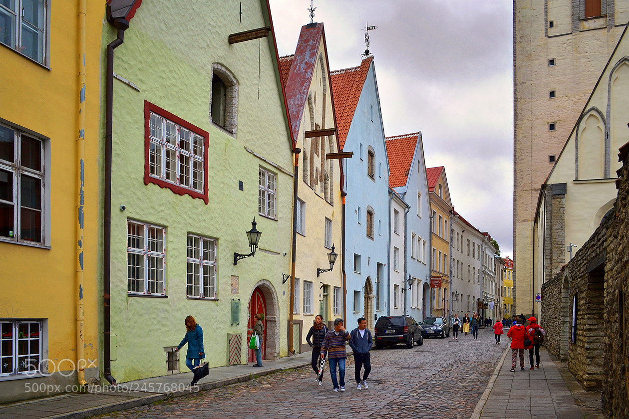 Nikon D3100 sample photo. A visit to tallinn photography