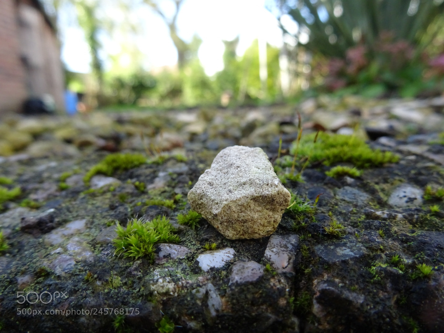 Sony DSC-HX60V sample photo. Blurred stone photography