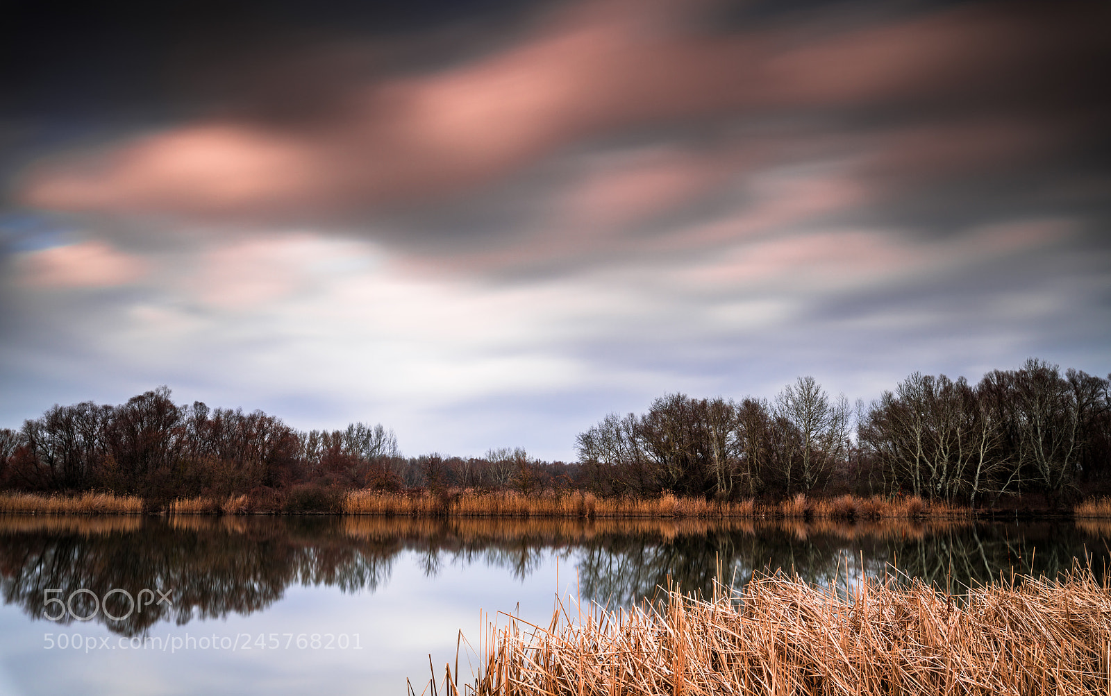 Nikon D850 sample photo. Awakening photography