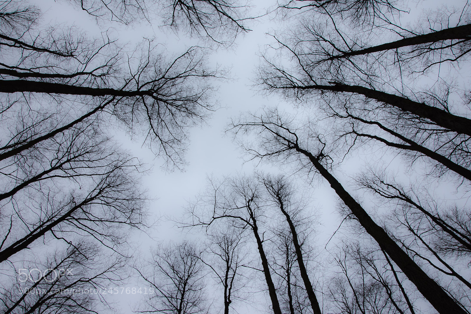 Nikon D7200 sample photo. Untitled photography