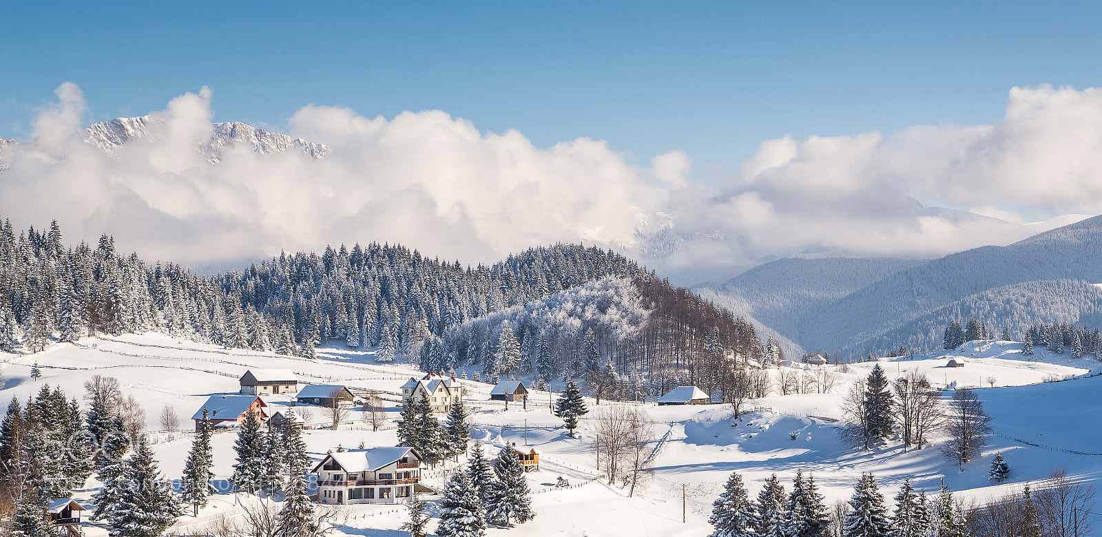 Nikon D610 sample photo. Beautiful winter day photography