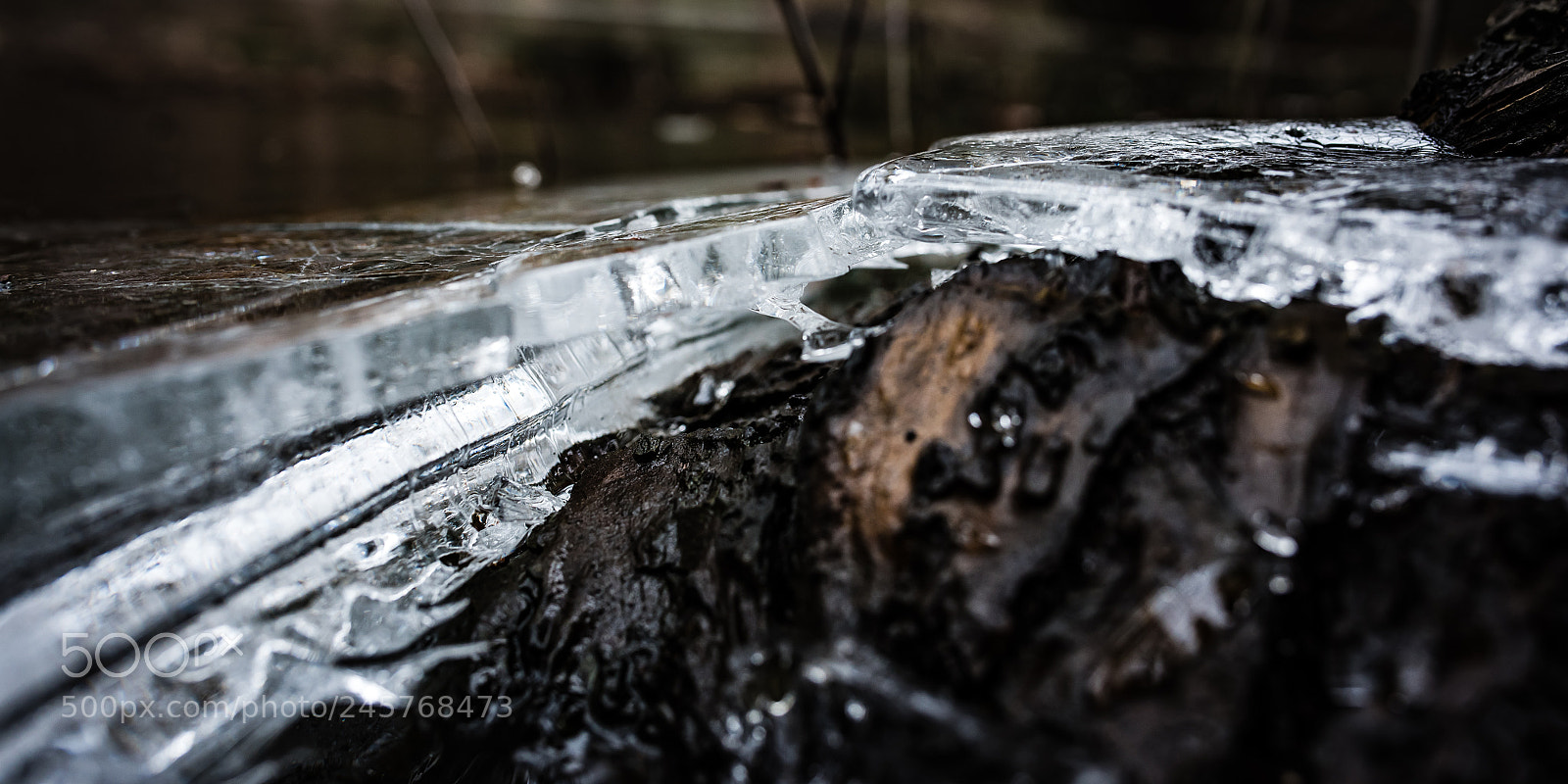 Nikon D810 sample photo. Ice photography