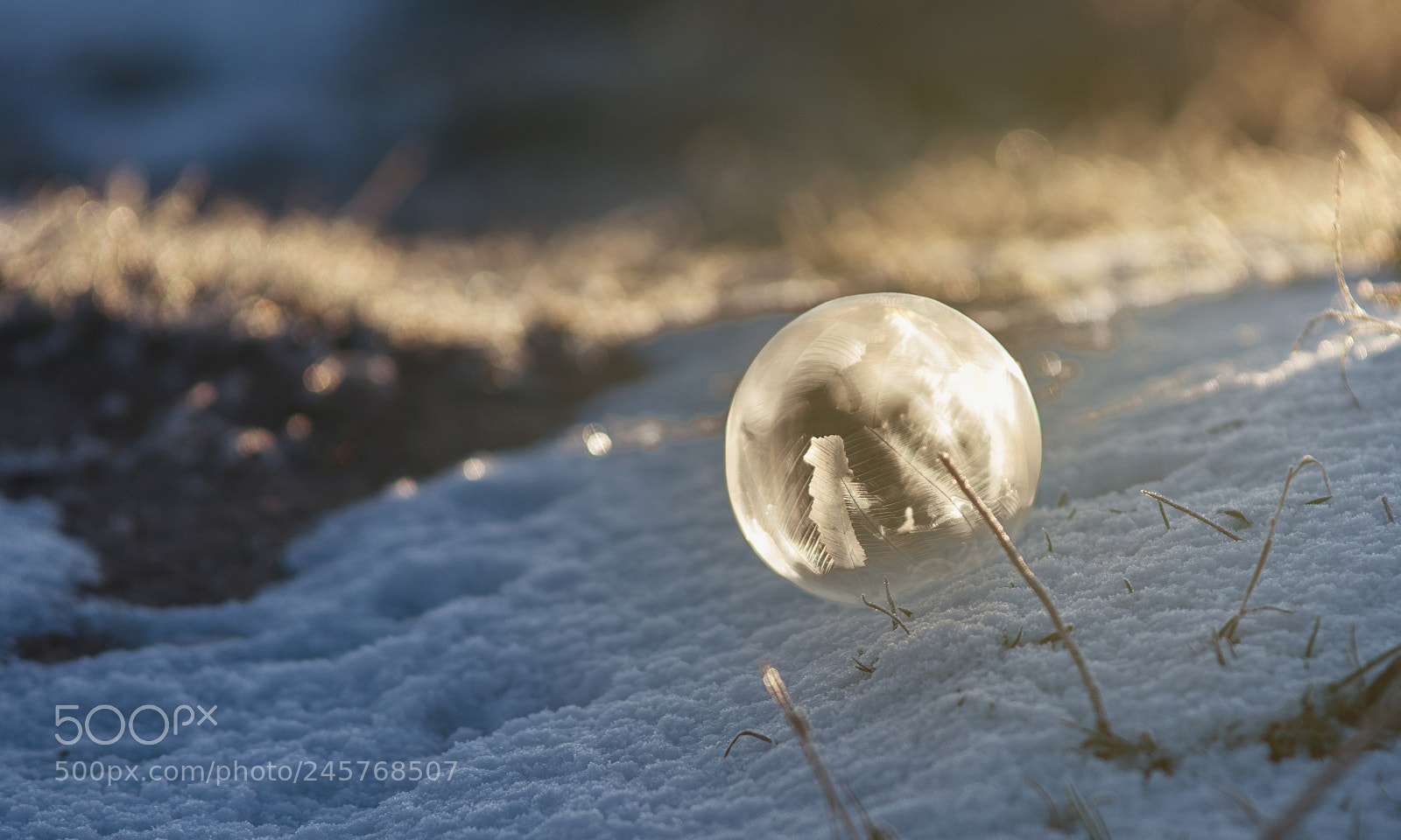 Nikon D7200 sample photo. Frozen bubble ii photography
