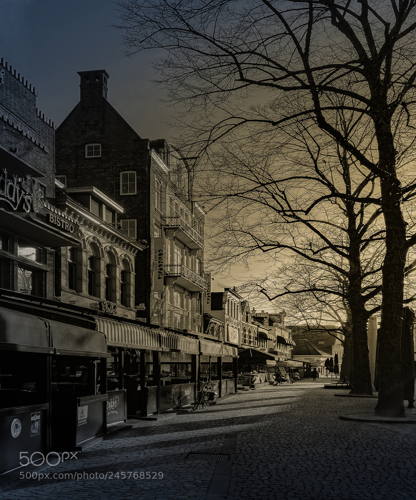 Sony Cyber-shot DSC-RX100 III sample photo. Winter morning in enschede photography