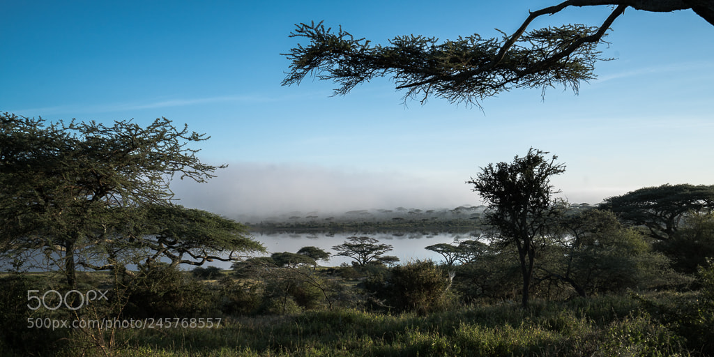Sony a7R II sample photo. Dsc photography
