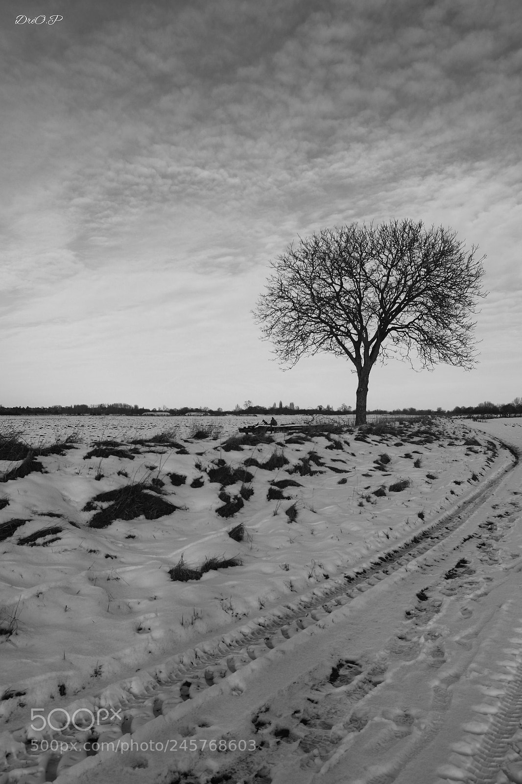 Canon EOS 7D Mark II sample photo. Untitled photography