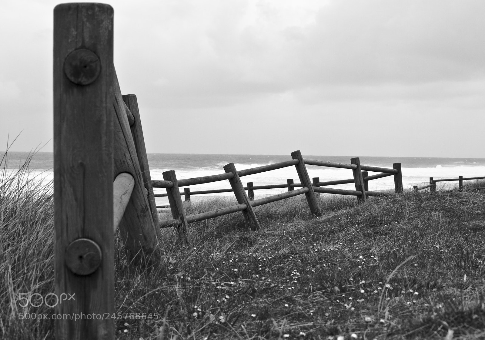 Olympus E-520 (EVOLT E-520) sample photo. The fence photography