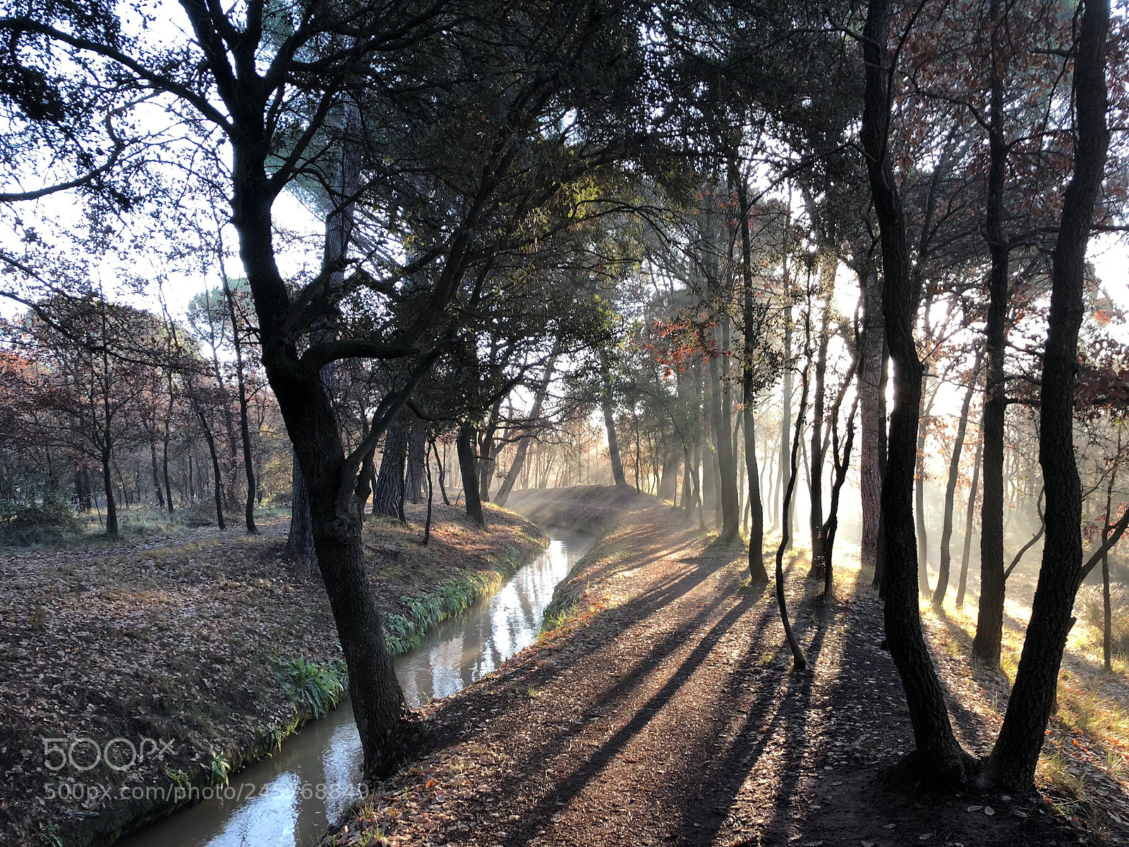 Apple iPhone X sample photo. La sèquia photography