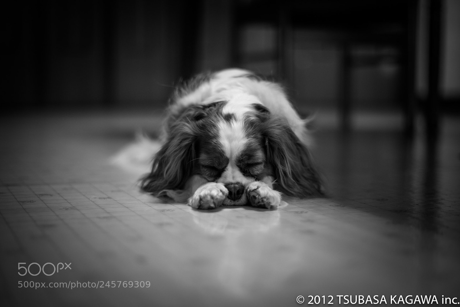 Nikon D810 sample photo. Harry photography