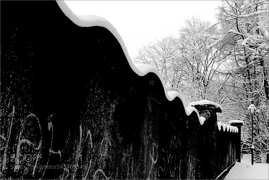 Nikon D610 sample photo. The shore of winter photography