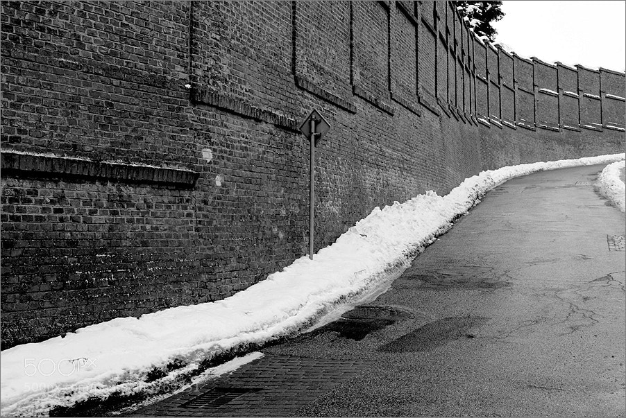 Nikon D610 sample photo. The road along the photography